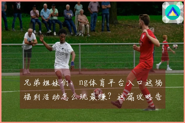 兄弟姐妹们，ng体育平台入口这场福利活动怎么玩最赚？这篇攻略告诉你！